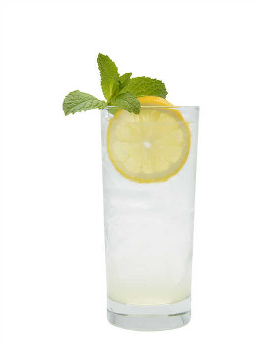 Gin Soda Especiada de Maracuyá