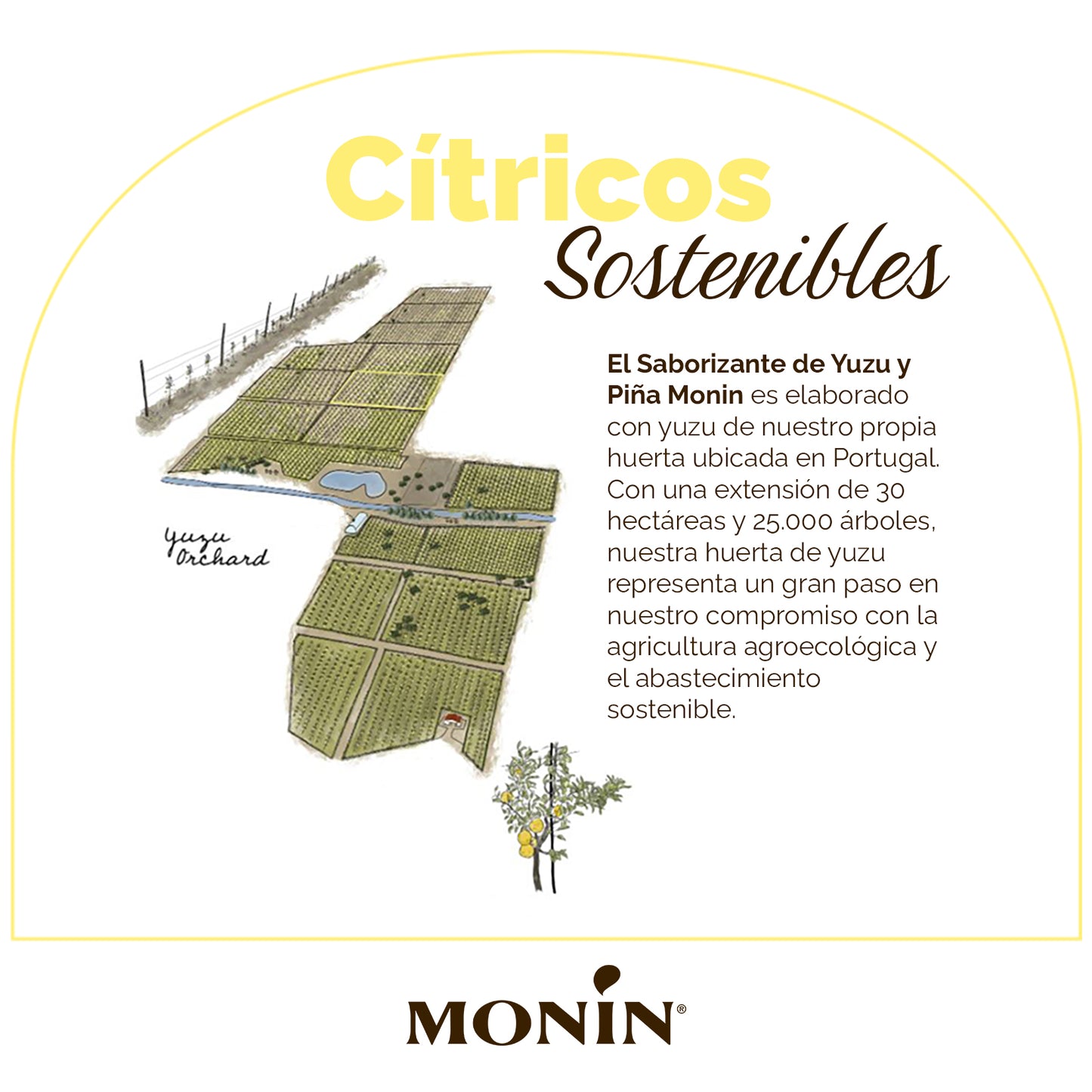 Saborizante de Yuzu y Piña