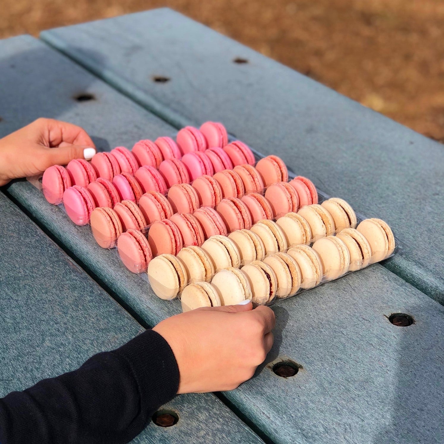 A person holding a tray of macarons colored in three different shades of pink.