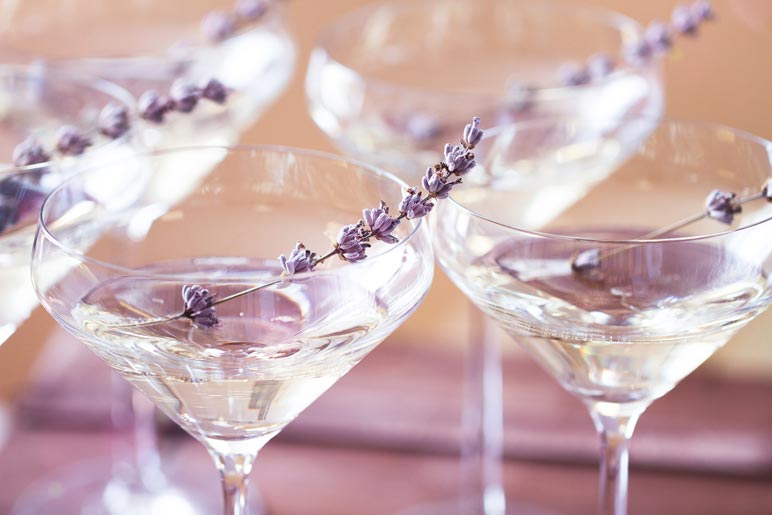 Clear cocktail in a martini glass with a sprig of lavender.