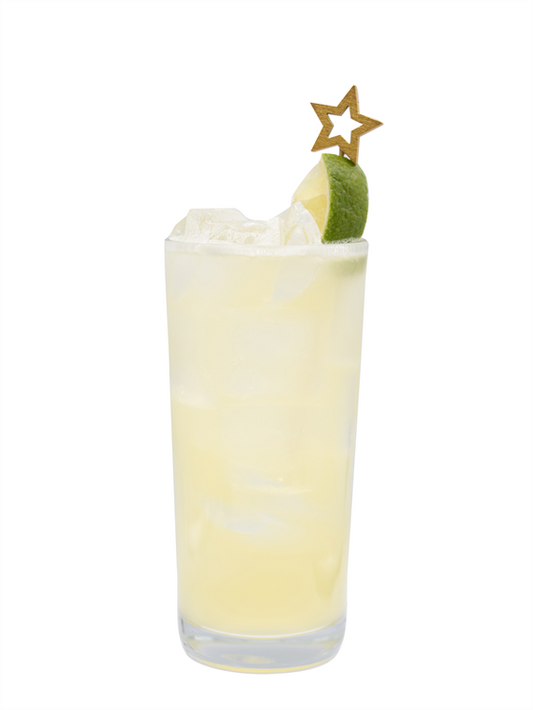 Margarita Estrella de Navidad
