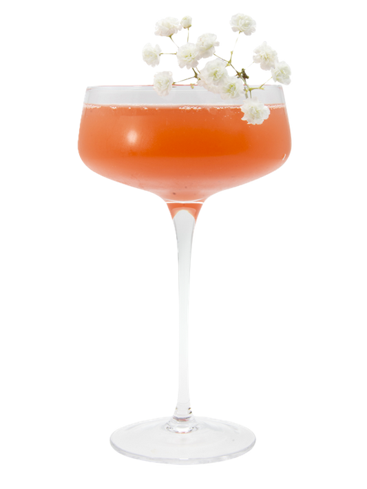 Fizz de Flor de Saúco