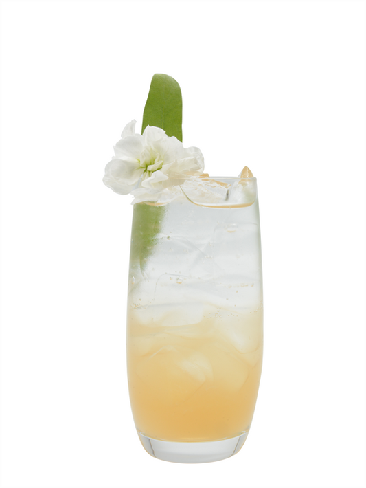Limonada Espumosa de Pistache y Rosas