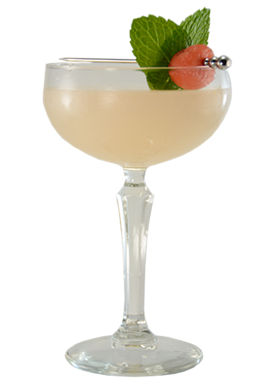 Gimlet de sandía y flor de sauco